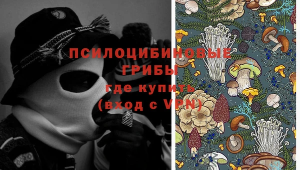 apvp Балабаново